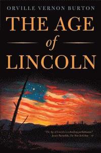 bokomslag Age Of Lincoln