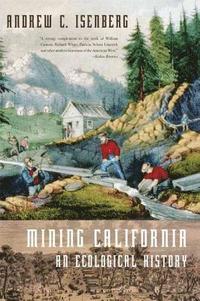 bokomslag Mining California