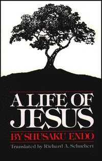 bokomslag A Life of Jesus