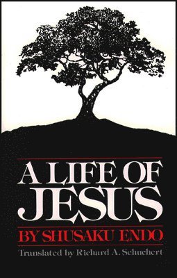 A Life of Jesus 1
