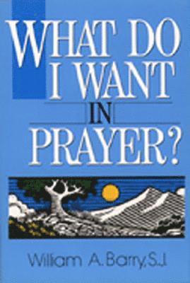 bokomslag What Do I Want in Prayer?