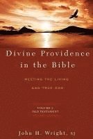 Divine Providence in the Bible: Meeting the Living and True God: Volume 1: Old Testament