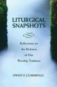 bokomslag Liturgical Snapshots