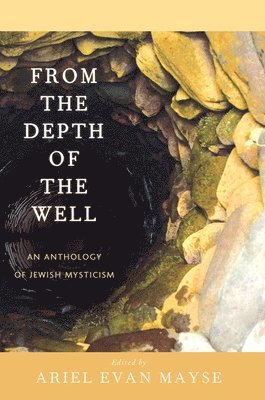 bokomslag From the Depth of the Well