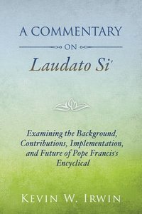 bokomslag Commentary on laudato si - examining the background, contributions, impleme