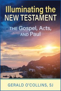 bokomslag Illuminating the New Testament