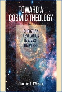 bokomslag Toward a Cosmic Theology