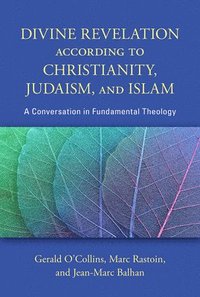 bokomslag Divine Revelation according to Christianity, Judaism, and Islam
