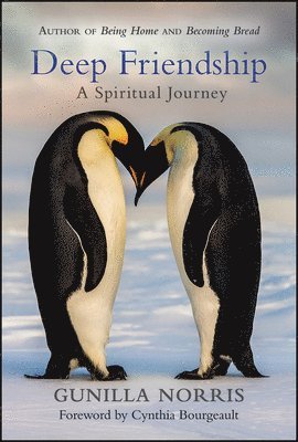 Deep Friendship: A Spiritual Journey