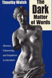 bokomslag Dark Matter of Words