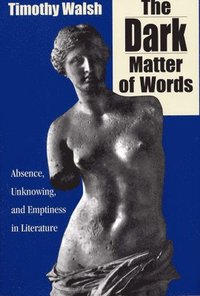 bokomslag The Dark Matter of Words
