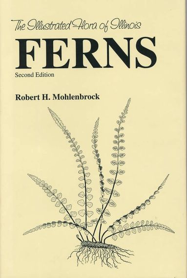 bokomslag Ferns