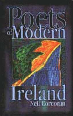 bokomslag Poets of Modern Ireland