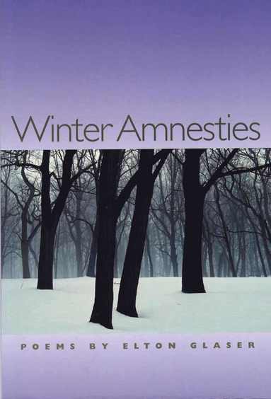 bokomslag Winter Amnesties