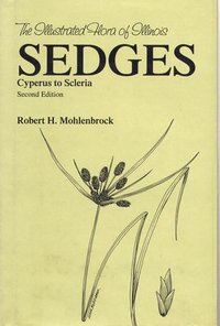 bokomslag Sedges
