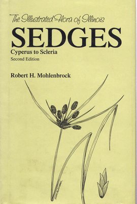Sedges 1