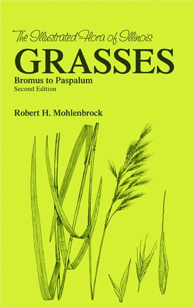 bokomslag Grasses  Bromus to Paspaulum