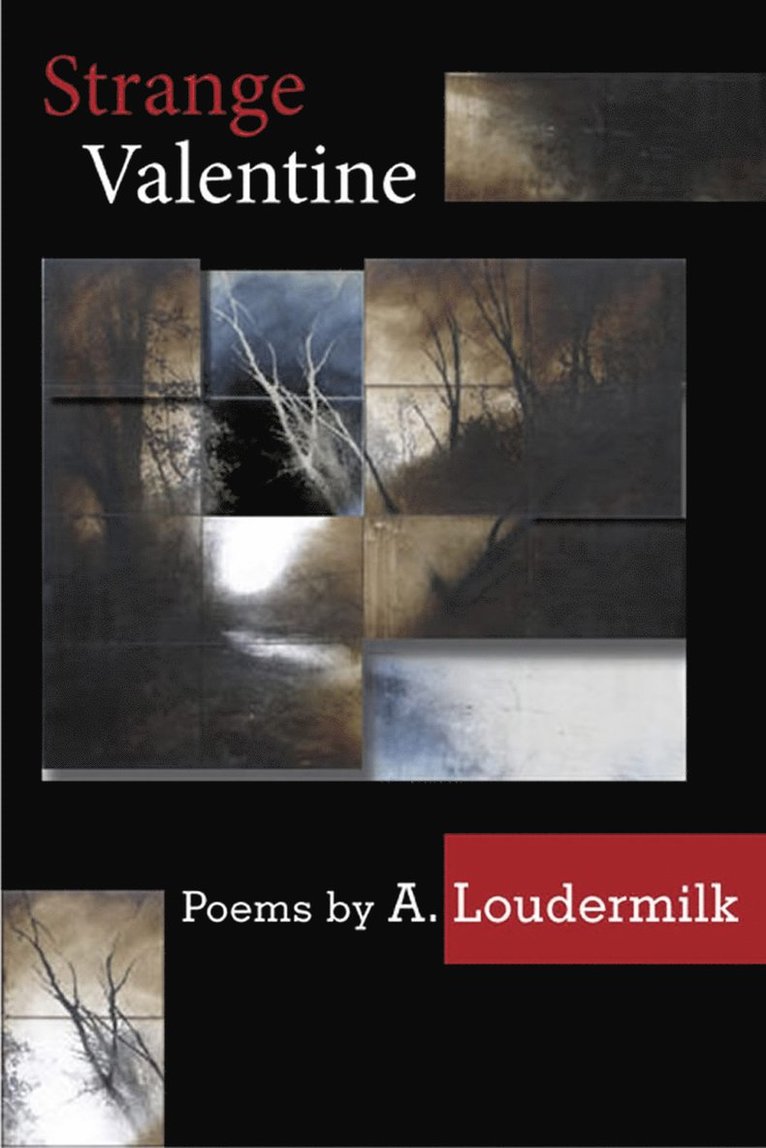 A. Loudermilk - Strange Valentine, Häftad