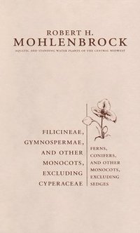 bokomslag Filicineae, Gymnospermae and Other Monocots Excluding Cyperaceae