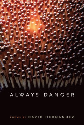 Always Danger 1