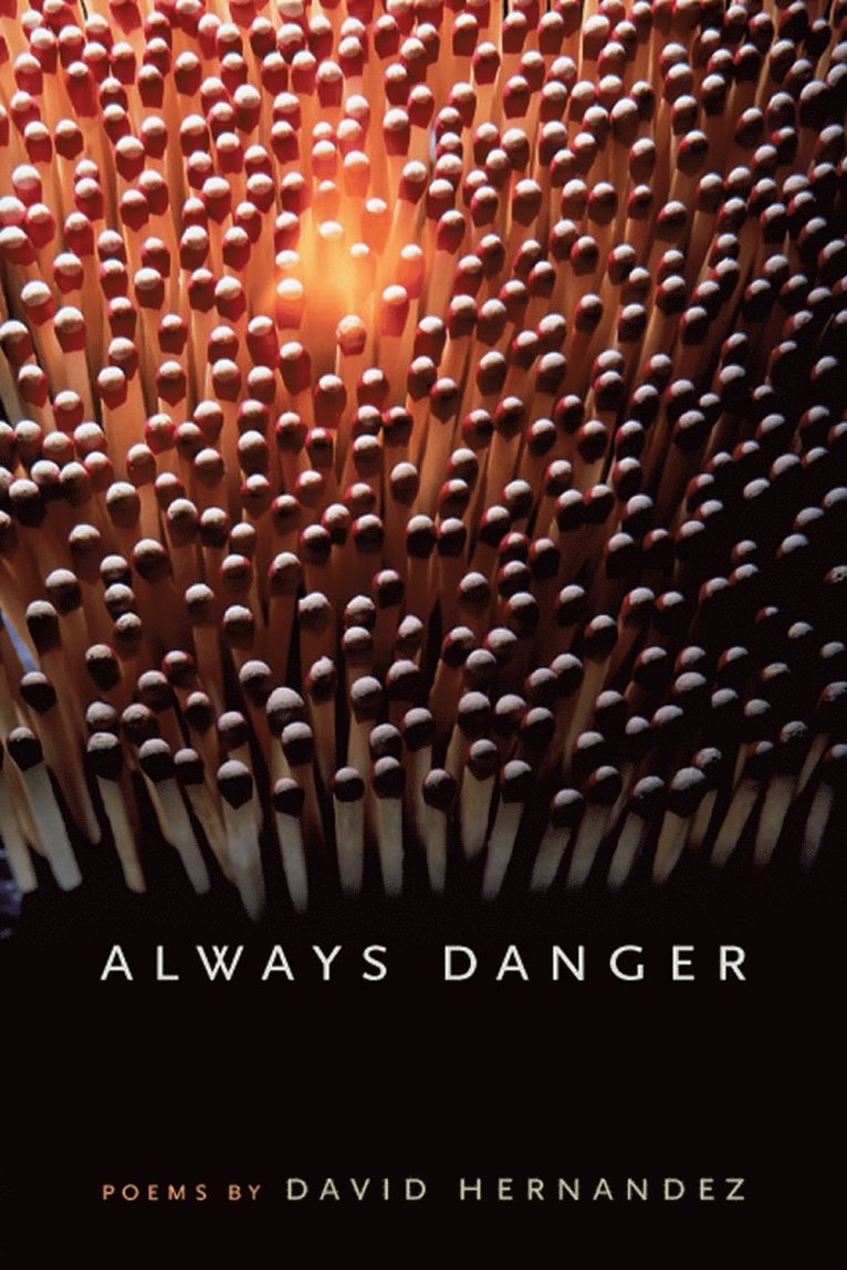 Always Danger 1