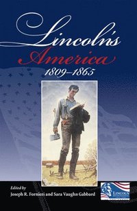 bokomslag Lincoln's America