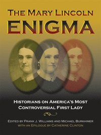 bokomslag The Mary Lincoln Enigma