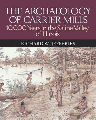 bokomslag Archaeology of Carrier Mills