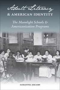 bokomslag Adult Literacy and American Identity