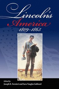 bokomslag Lincoln's America