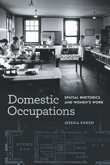 bokomslag Domestic Occupations