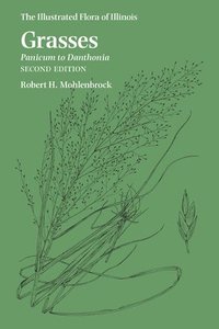 bokomslag Grasses: Panicum to Danthonia