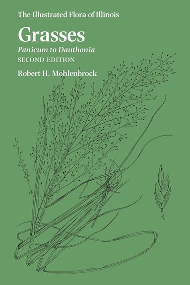 bokomslag Grasses: Panicum to Danthonia