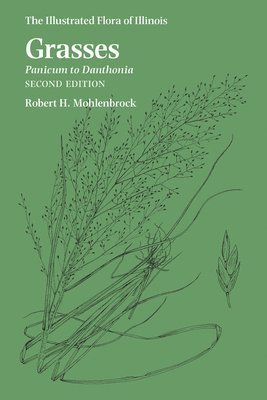 Grasses: Panicum to Danthonia