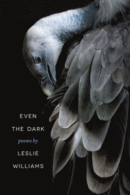 Leslie Williams - Even the Dark, Häftad