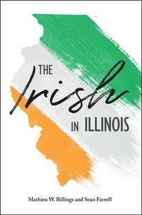 bokomslag The Irish in Illinois
