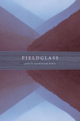 bokomslag Fieldglass