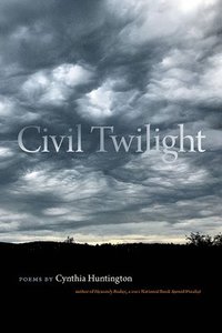 bokomslag Civil Twilight