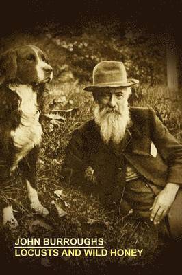 John, Burroughs - Locusts and Wild Honey, Häftad