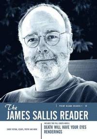 bokomslag A James Sallis Reader