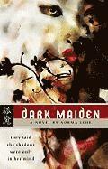 bokomslag Dark Maiden
