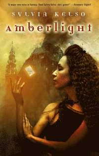 bokomslag Amberlight