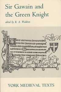 bokomslag Sir Gawain and the Green Knight