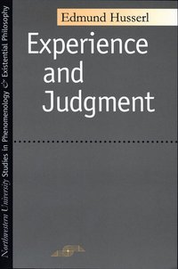 bokomslag Experience and Judgment