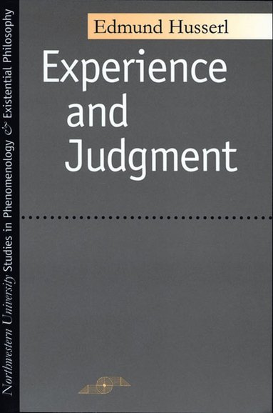 bokomslag Experience and Judgment