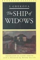 bokomslag Ship Of Widows