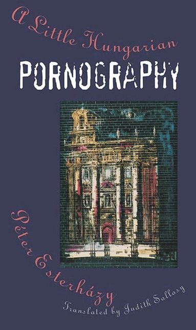 bokomslag Little Hungarian Pornography