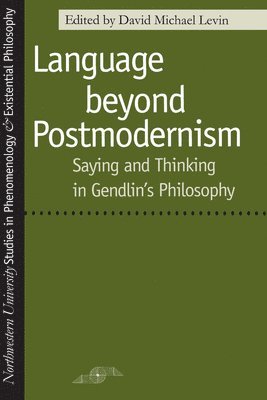 bokomslag Language Beyond Postmodernism