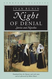bokomslag Night of Denial