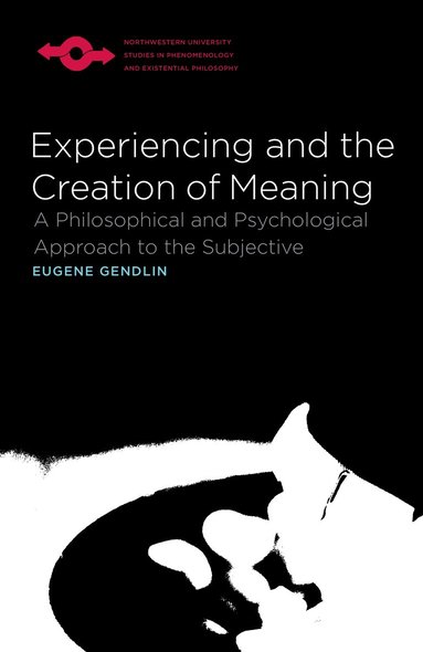 bokomslag Experiencing and the Creation of Meaning